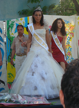 defile miss 2010 14